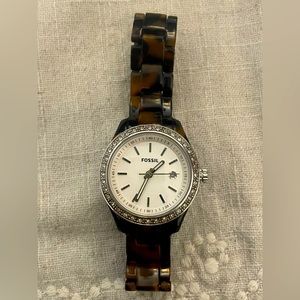 Fossil Watch : Tortoise Shell